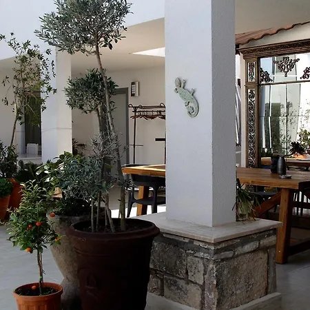 Hotel No 20 Marina - Adult Only 3*